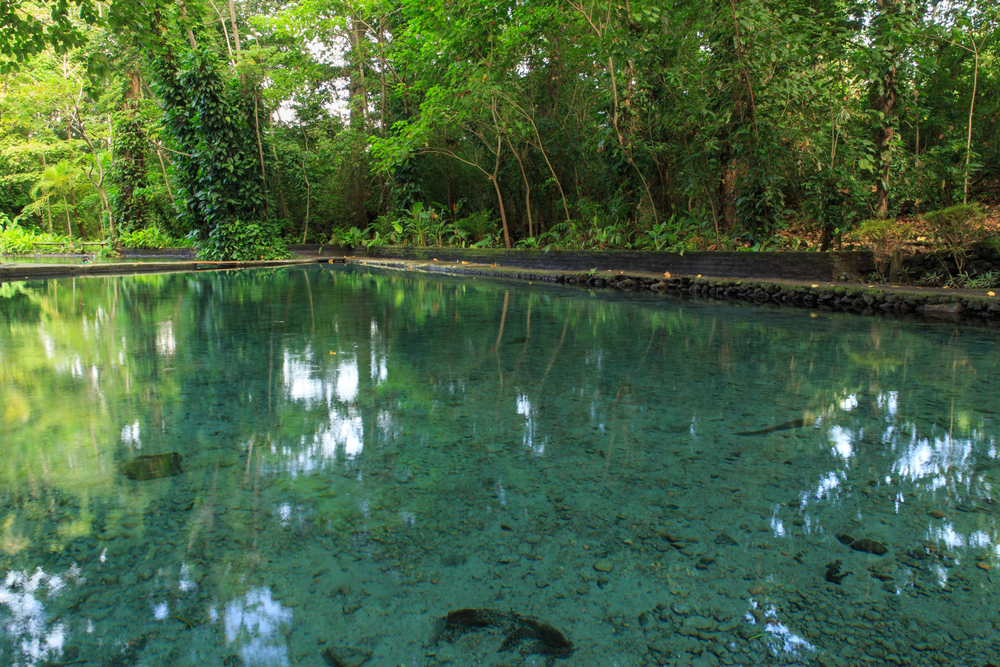 Ojo del Agua en Isla Ometepe