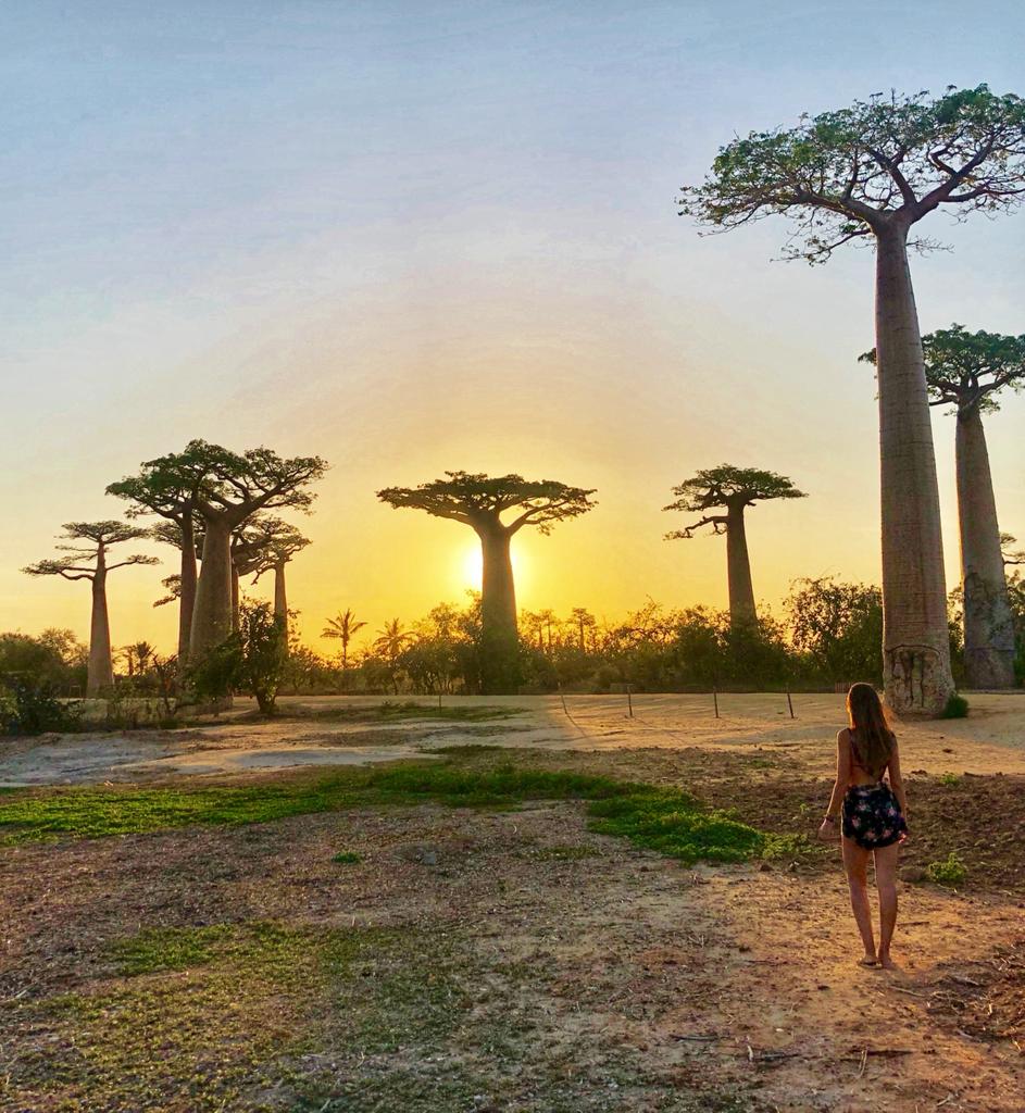 Visitar los baobabs por libre en Madagascar