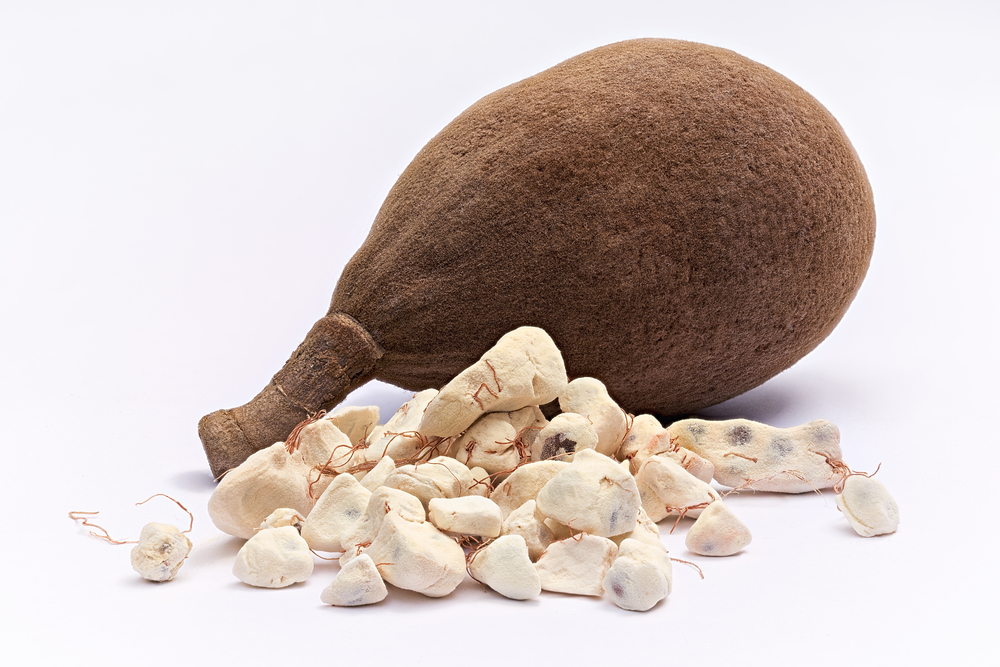Fruto de baobab, un super alimento