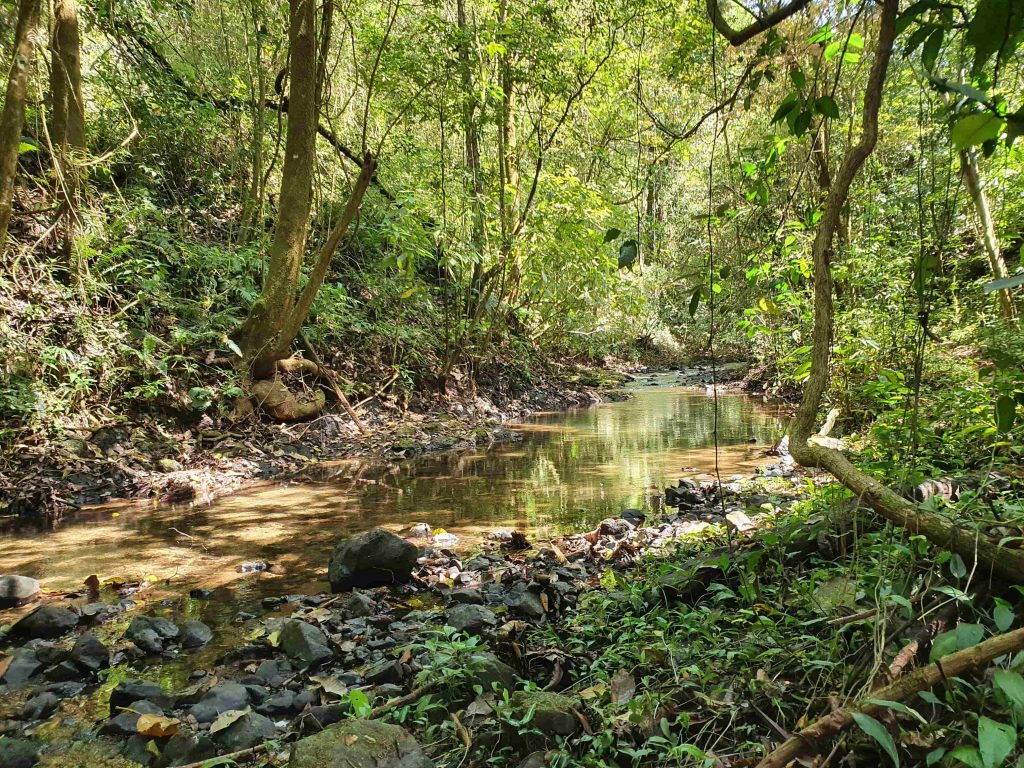 Camino a la Cascada de Torio