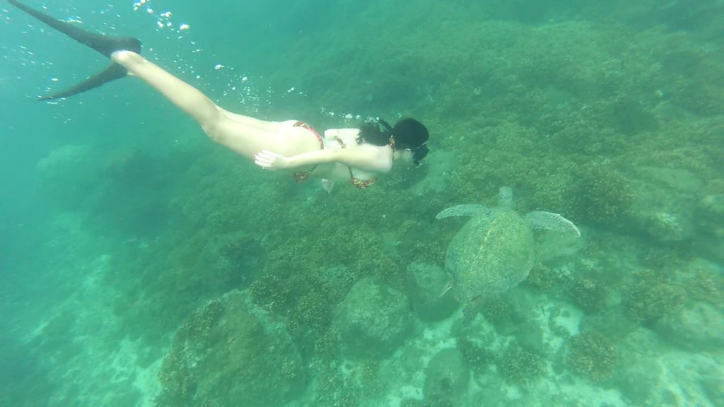 Bucendo con una tortuga en Granito de Oro