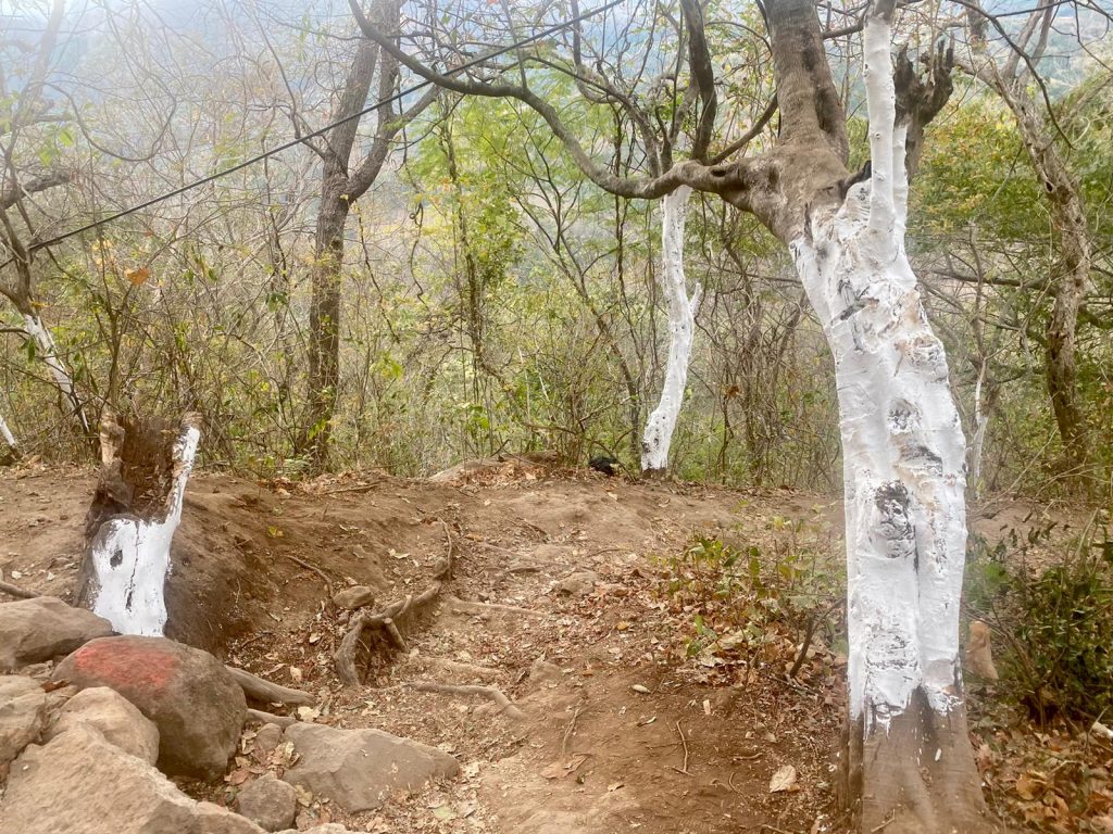 Camino a las Cascadas Tamanique