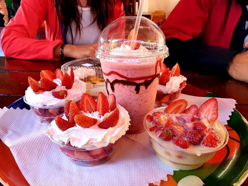 Fresas con nata y batido de fresa en Boquete
