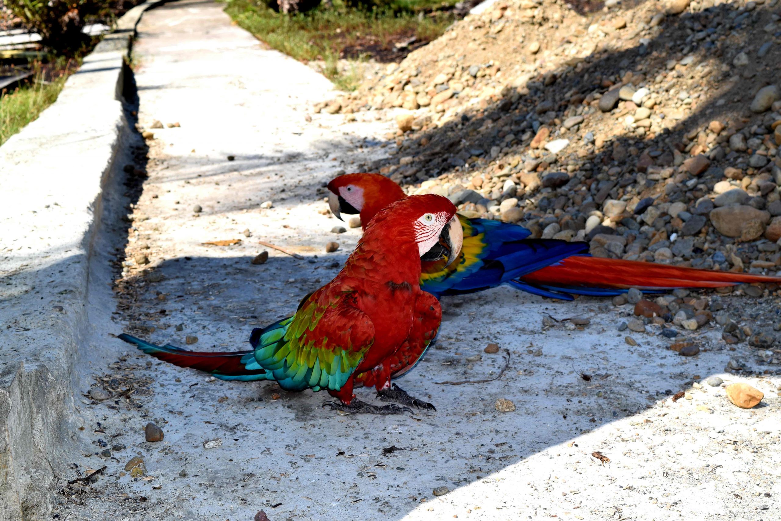 Qué hacer en Bocas del Toro en 2022