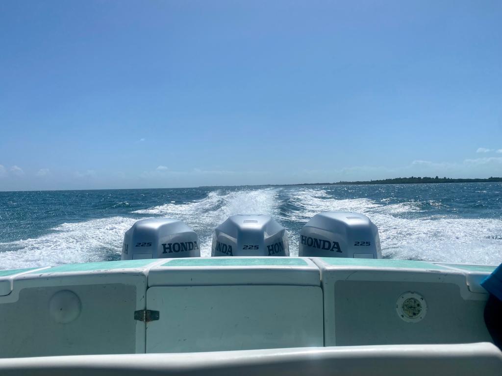 Ferry desde Ciudad de Belice a San Pedro