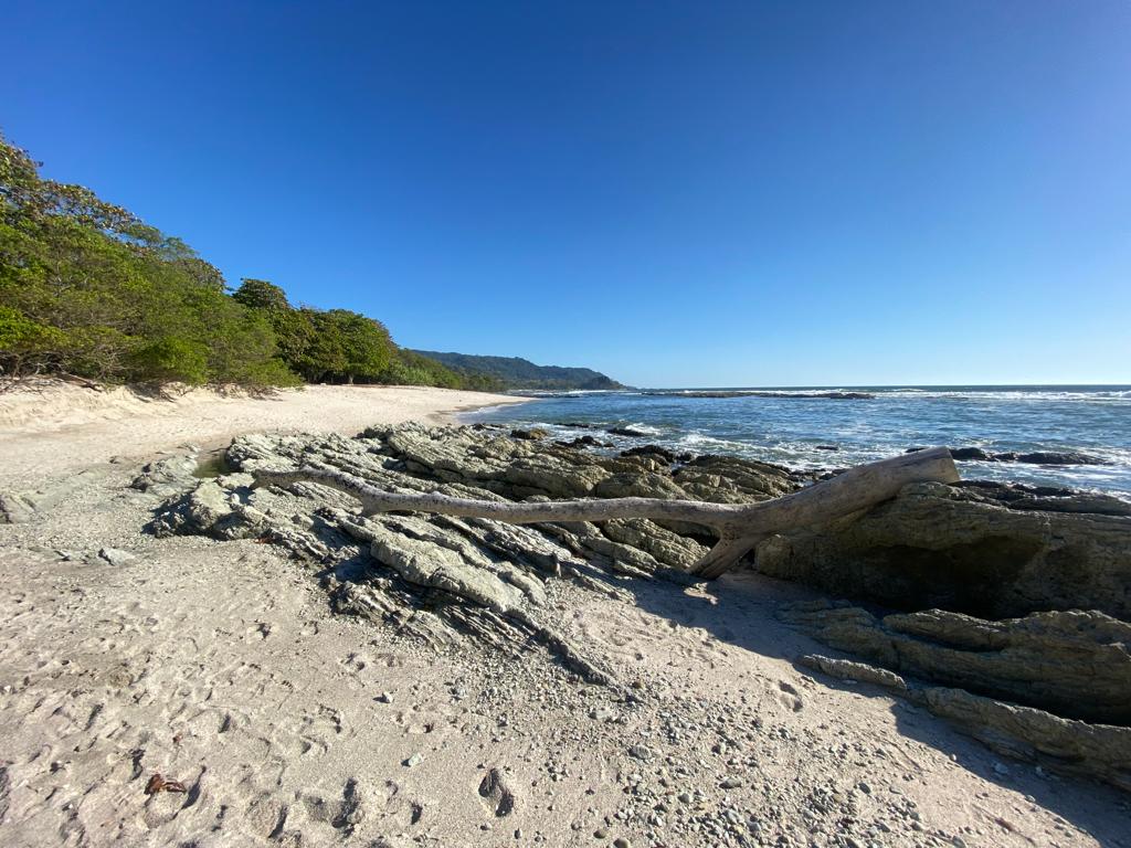 Playa Santa Teresa en Costa Rica