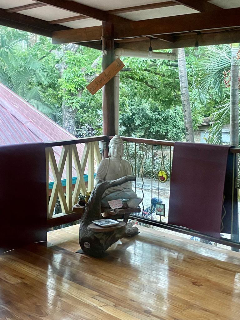 Yoga en Santa Teresa